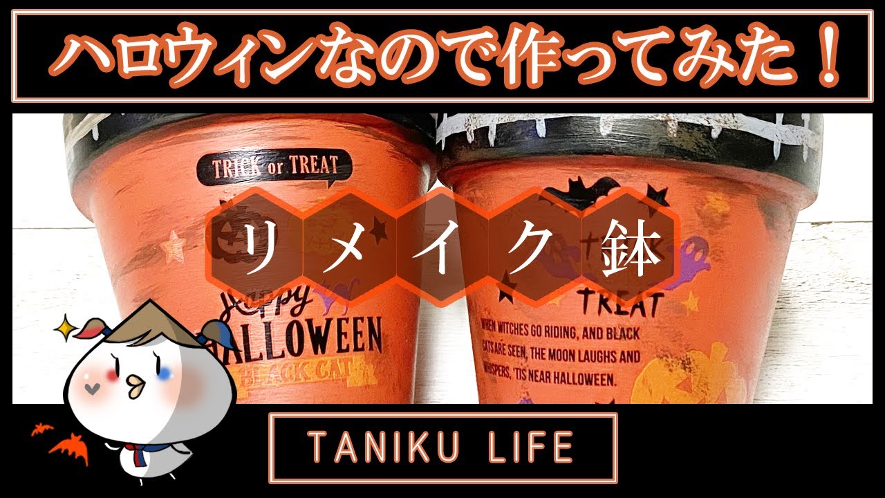 【多肉植物】100均アイテムだけでハロウィン仕様の鉢作りしてみた！【DIY】
