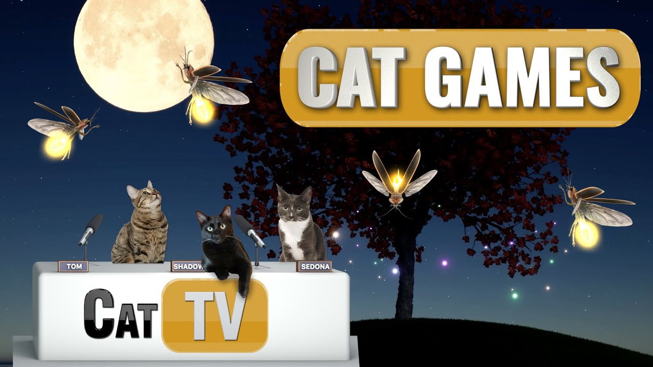 Cat TV Magic: Светлячок-спокойствие в причудливых мирах 🔥