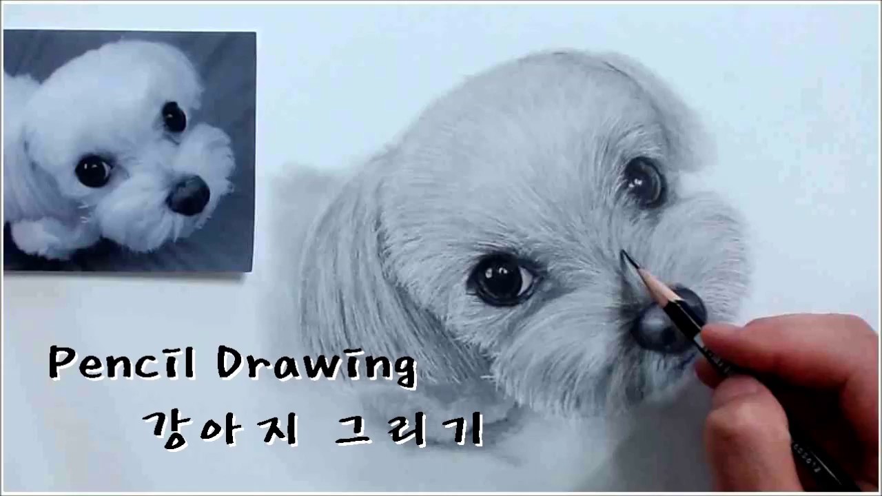 연필드로잉 - 동물(강아지) 그리기 1배속 [ Drawing animal/How to draw a dog ]