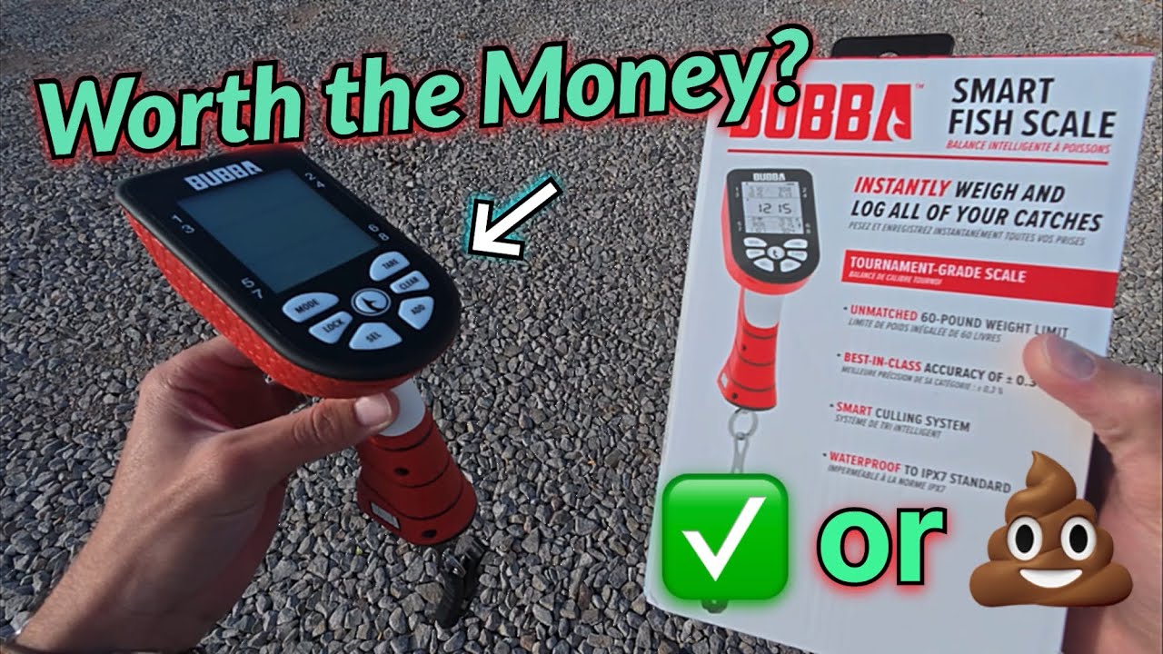 Is the BUBBA Smart Fish Scale Worth the Hype?