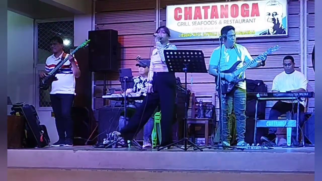 Tina Turner live Set by Hitback band