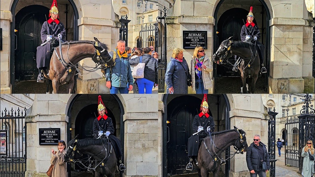Magnificent ORMONDE - Some of His Very Best Moments at Horse Guards!