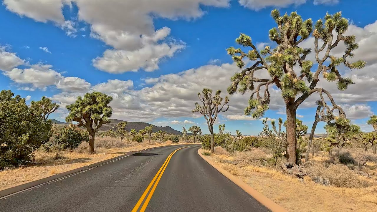A Drive Through Joshua Tree National Park