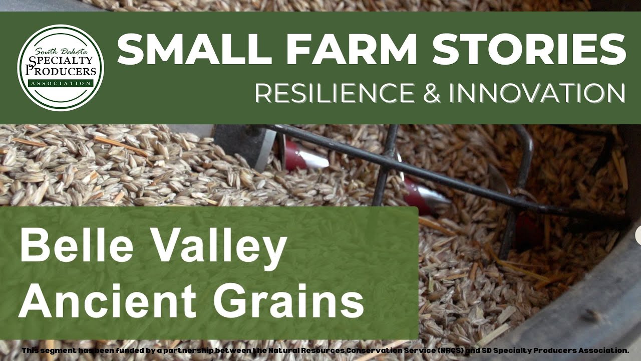Belle Valley Ancient Grains, Small Farm Stories: Resilience and Innovation