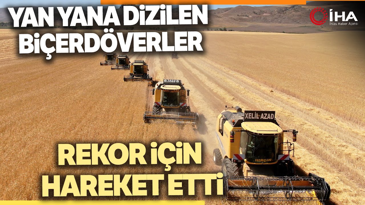 Sivas’ta Tohumluk Tritikale Yem Bitkisi Hasadı Başladı