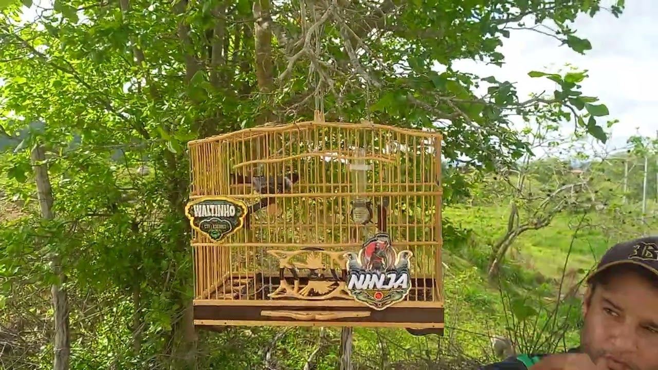 Golinha Ninja, N:19 da temporada 5°do dia 19/02/2026