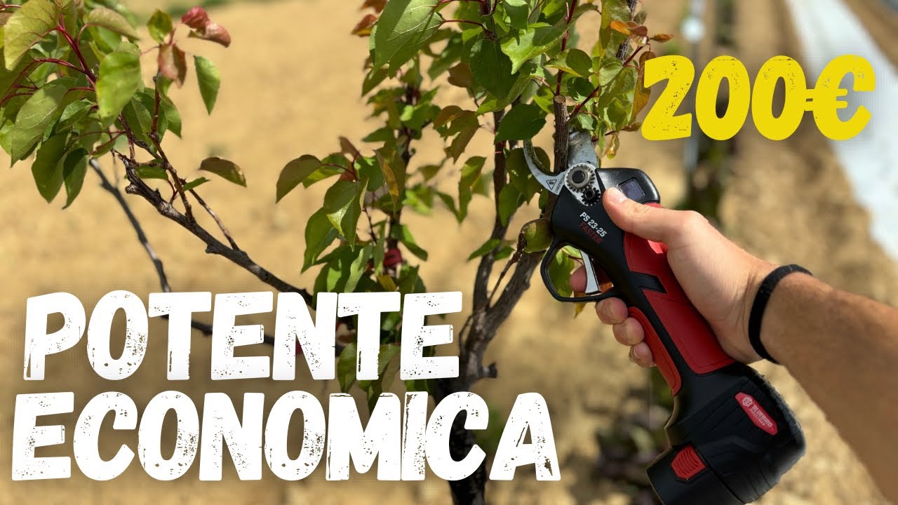 Ho comprato delle FORBICI a BATTERIA ECONOMICHE ma POTENTI!