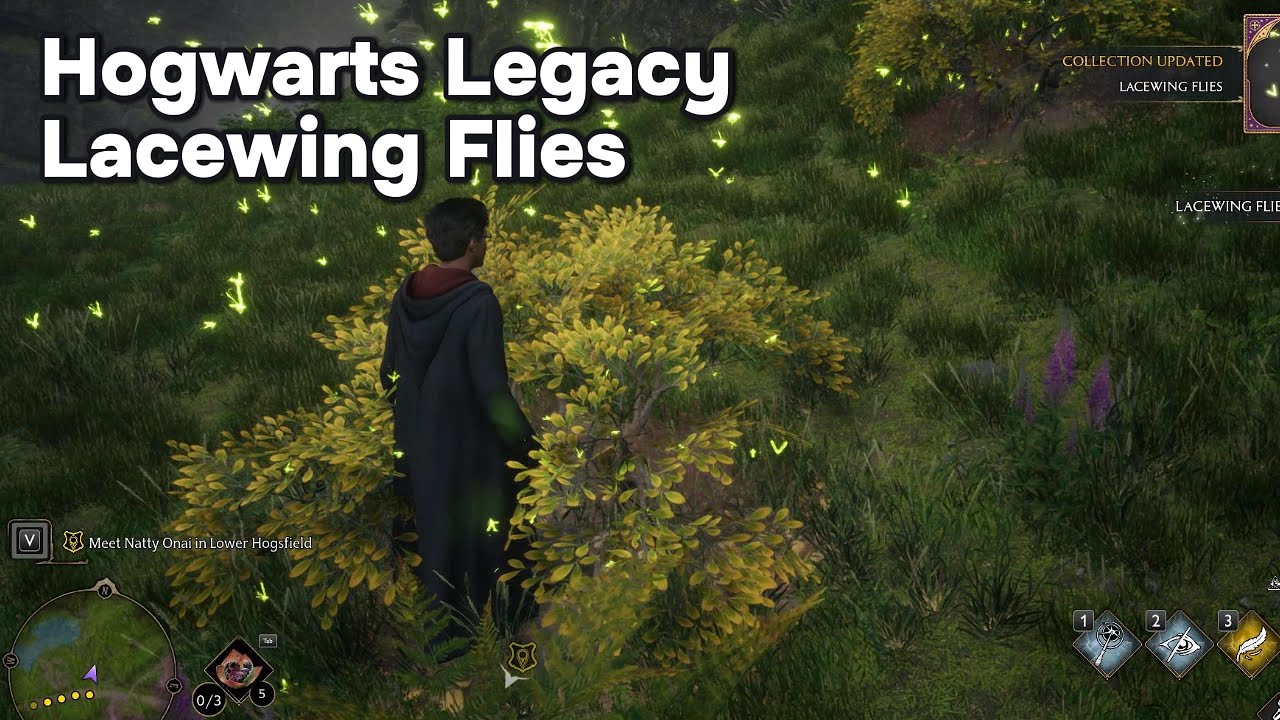 Hogwarts Legacy Lacewing Flies in 2024