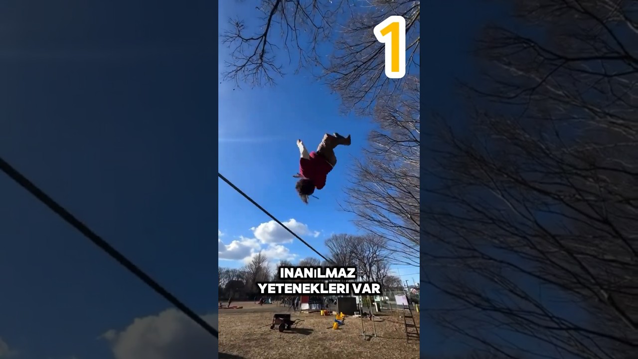Baş D&ouml;nd&uuml;ren Yetenekler ! 🔥