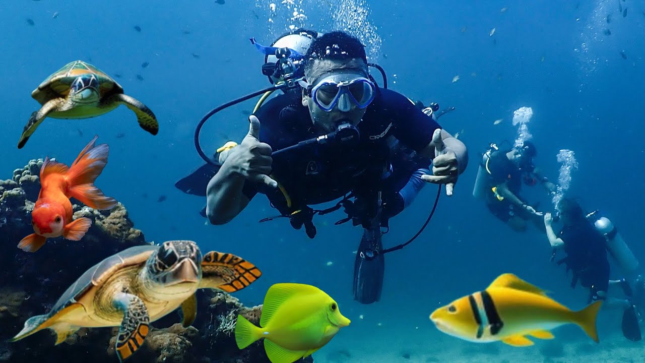 First Time Scuba Diving, Beautiful Experience || Phi Phi Island Thailand 🇹🇭🏝️🏝️