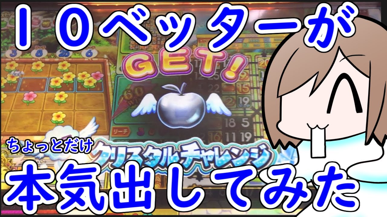 【アニマロッタ】４０００枚使って勝負!!【メダルゲーム】
