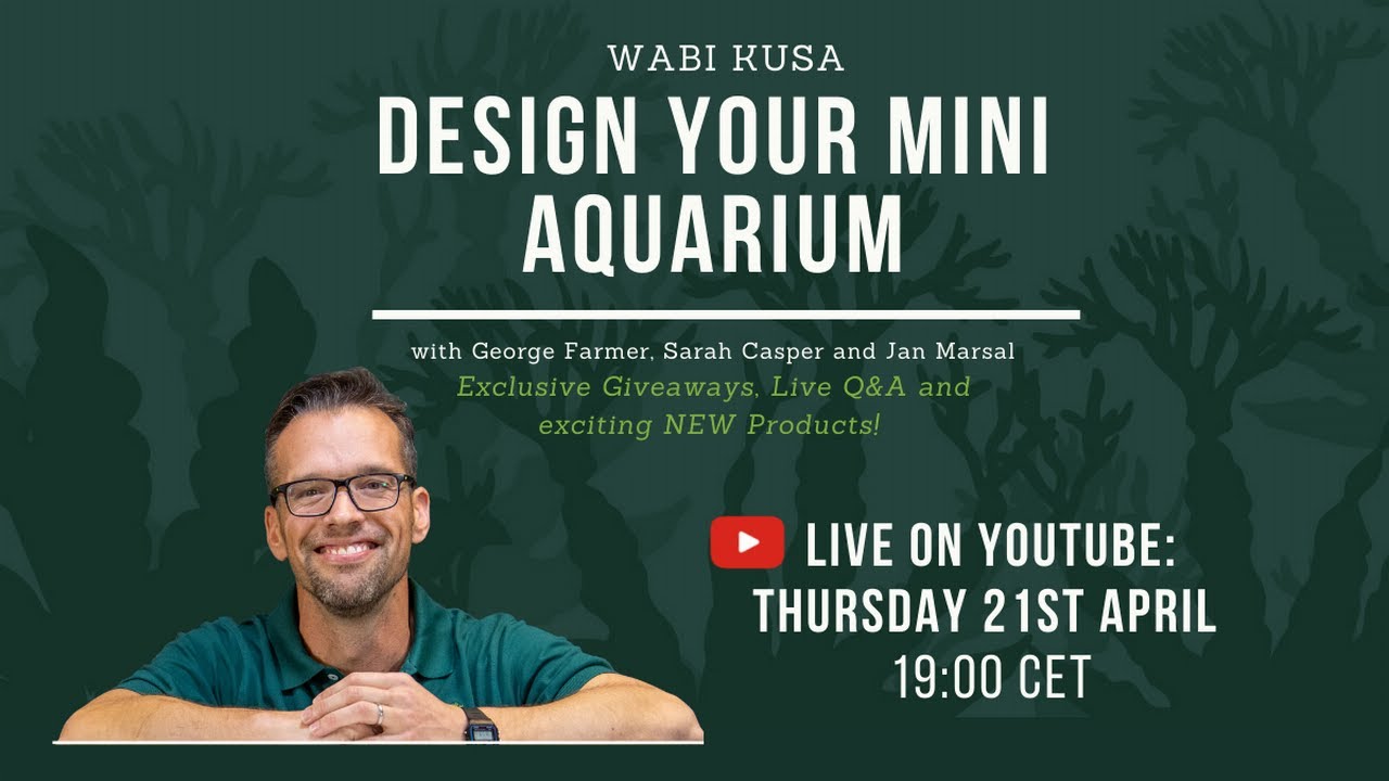 Wabi Kusa - Easy Mini-Aquariums