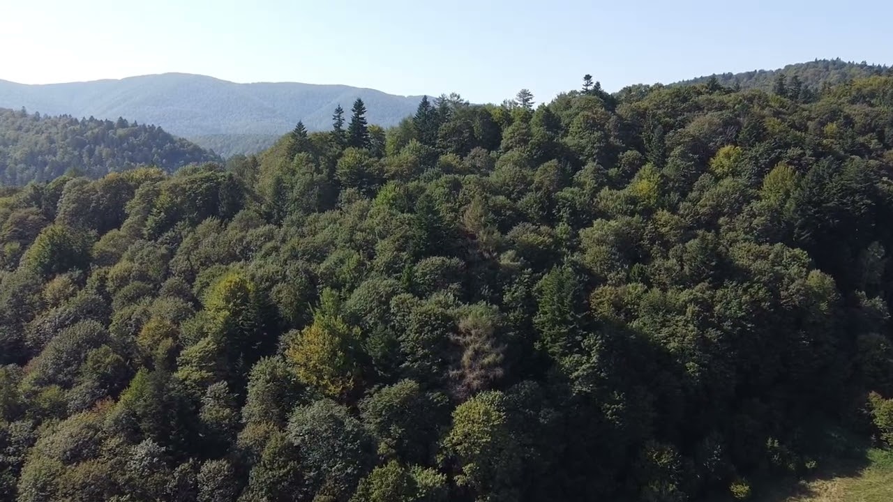 Bieszczady Cisna 2023