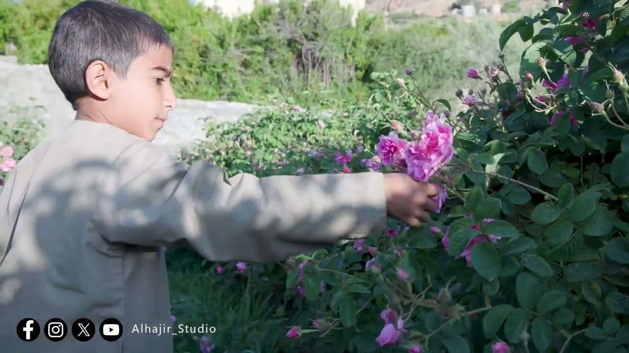 الجبل الاخضر سلطنة عمان