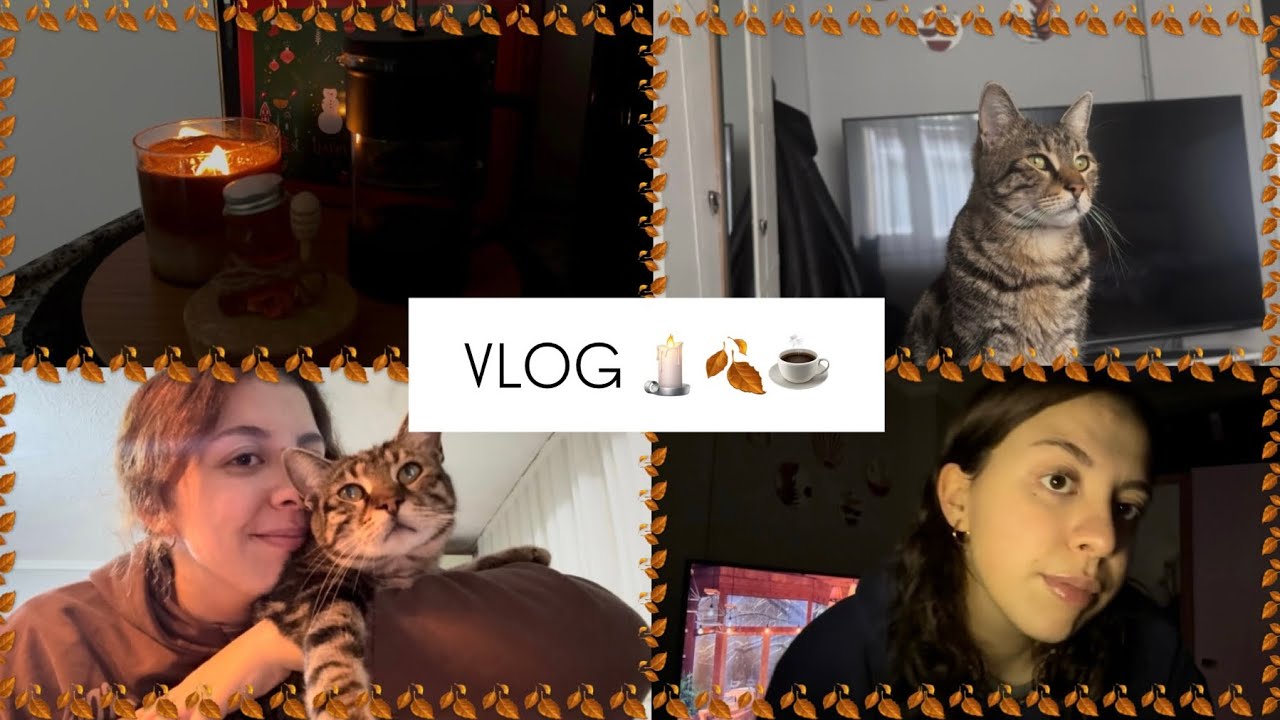 VLOG / 2