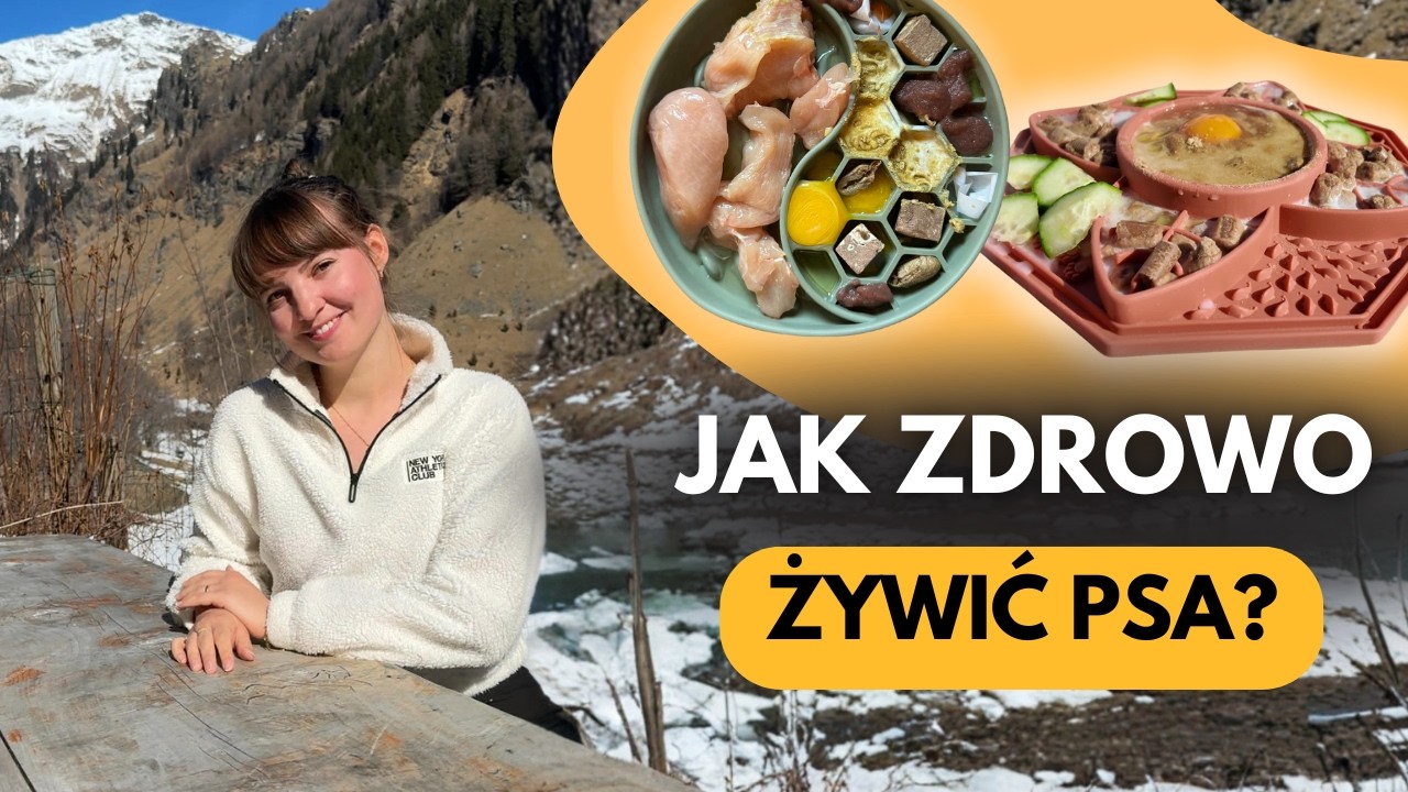Jak zdrowo żywić psa?