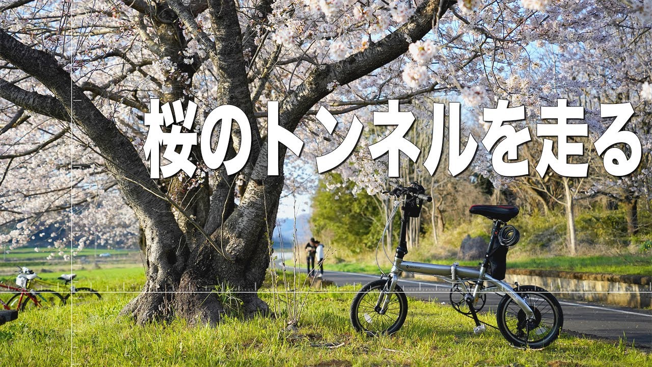ミニベロ輪行｜霞ヶ浦りんりんロードでシェラカップ外飯　ルノープラチナライト8