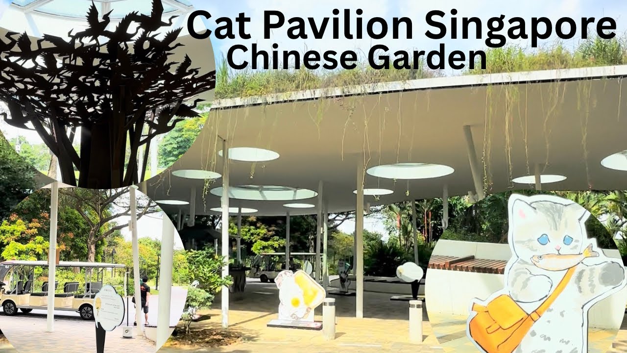 Singapore Cat Pavilion | Cat Pavilion Chinese Garden | সিংগাপুর ক‍্যাট প‍্যাভিলিয়ন । কিউট কিউট বিড়াল