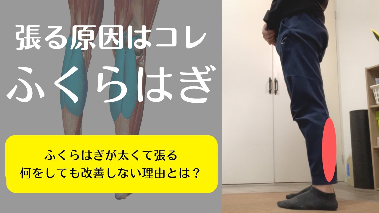 【ふくらはぎの張り＆太さの原因はコレ】ふくらはぎがパンパンに張る人は必見！ふくらはぎのマッサージやストレッチをしても改善しない理由を理学療法士が徹底解説！【愛媛県松山市　ピラティス・姿勢・痛み】