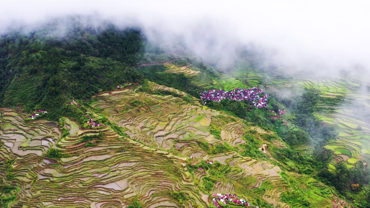 Maligcong Rice Terraces - Bontoc, Mountain Province DV (Nov. 9, 2019)