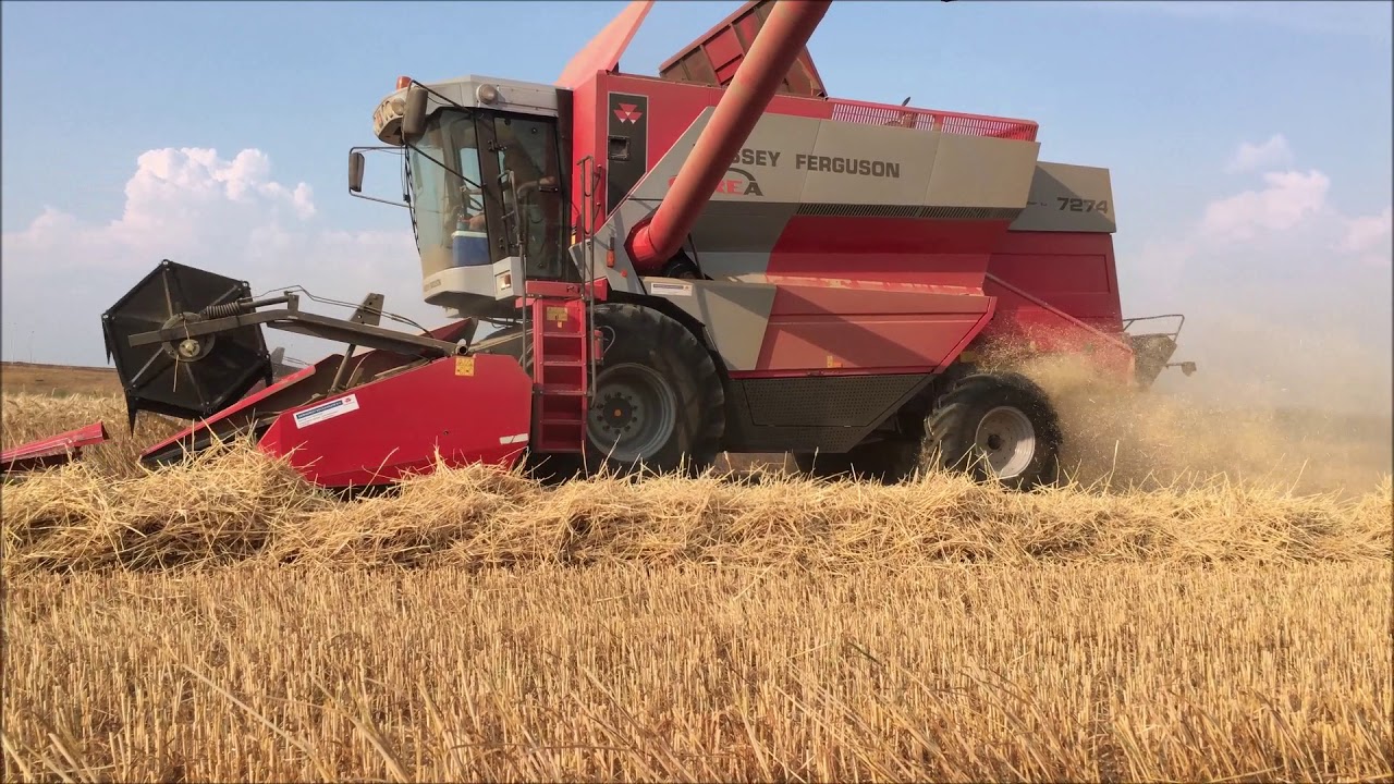 Massey ferguson Cerea 7274 Michelin Cerexbib 2