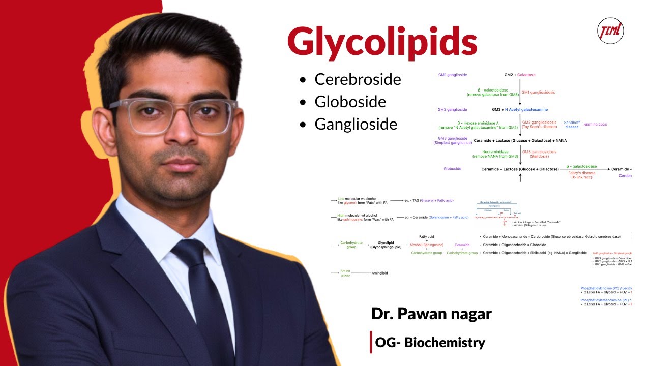 Glycolipid | Cerebroside, Globiside, Ganglioside