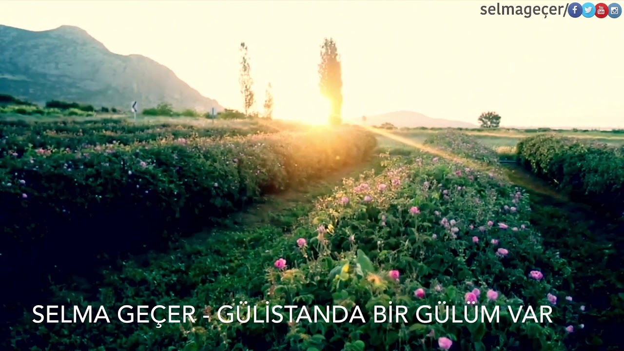 Selma Geçer - Gülistanda Bir Gülüm Var