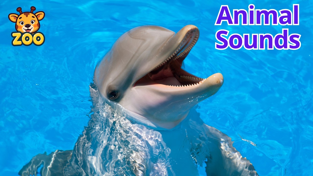 Animal Sounds for Kids | Animals Under the Sea - Dolphin, Shark, Clownfish & More