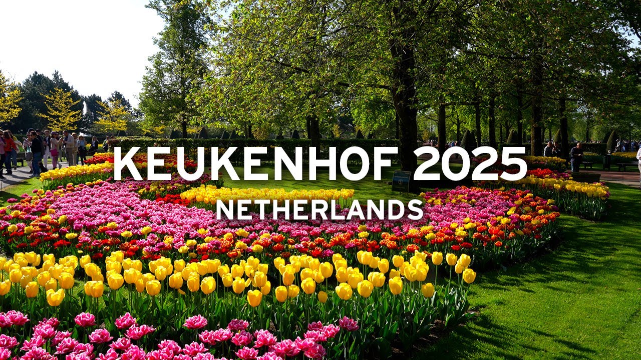 🇳🇱 Keukenhof’s Stunning Colors – Warm Spring Visit 2025  [4K]