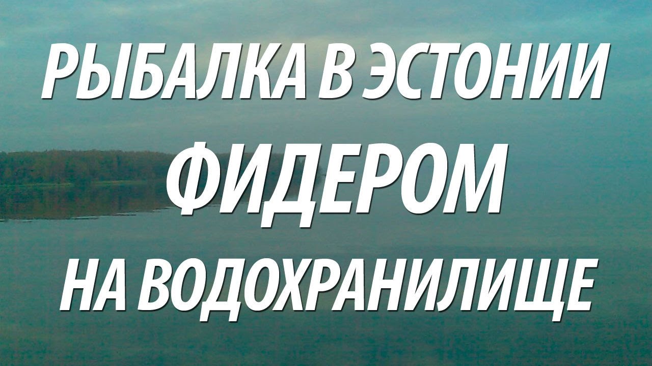 РЫБАЛКА С НОРМУНДОМ ГРАБОВСКИСОМ НА ФИДЕР В ЭСТОНИИ НА ВОДОХРАНИЛИЩЕ