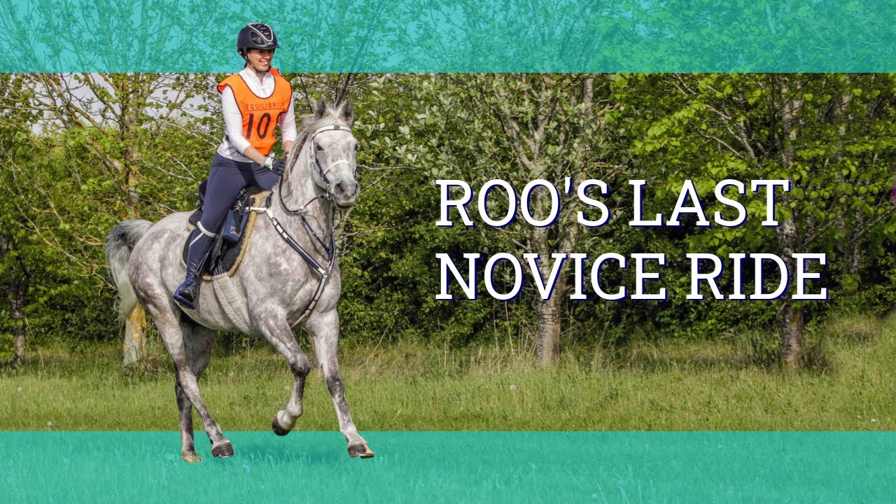 Roo's last novice competition! - Foxdales Endurance ride - Vlog 130 - Beth Endurance
