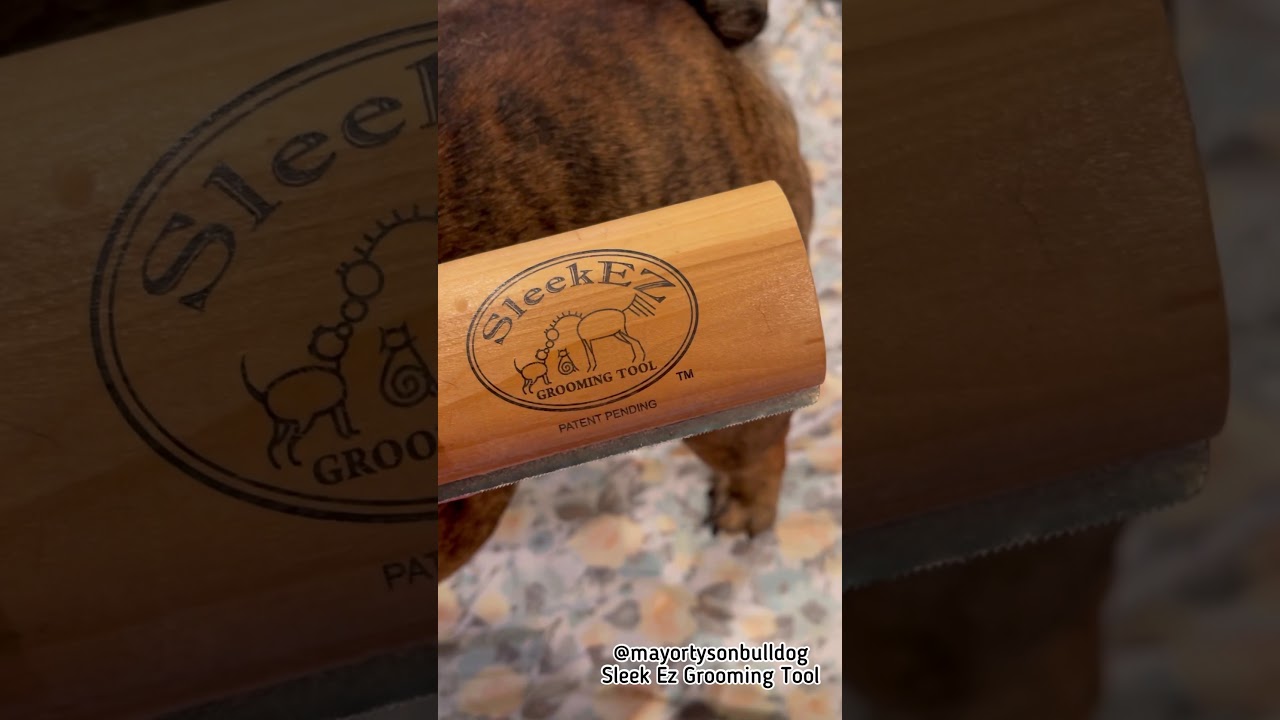Dog Grooming with the Sleek Ez