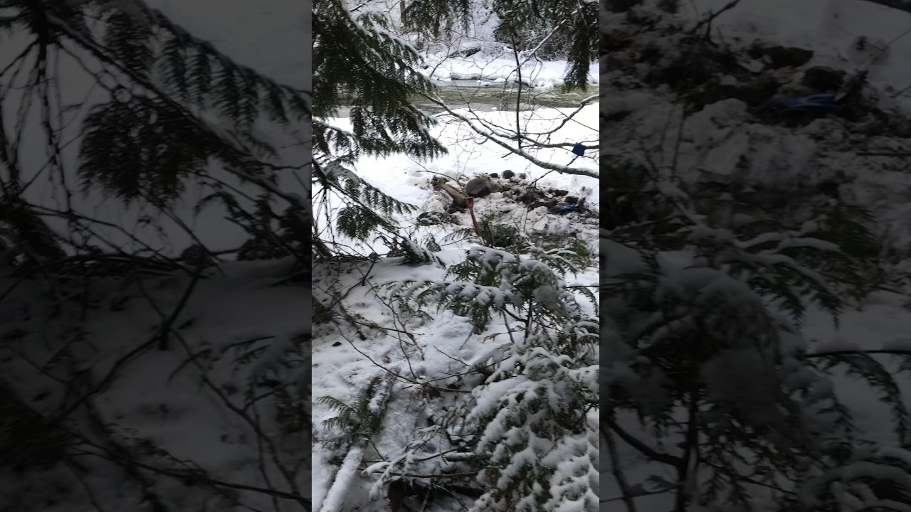Prospecting for Gold - Winter of 2020