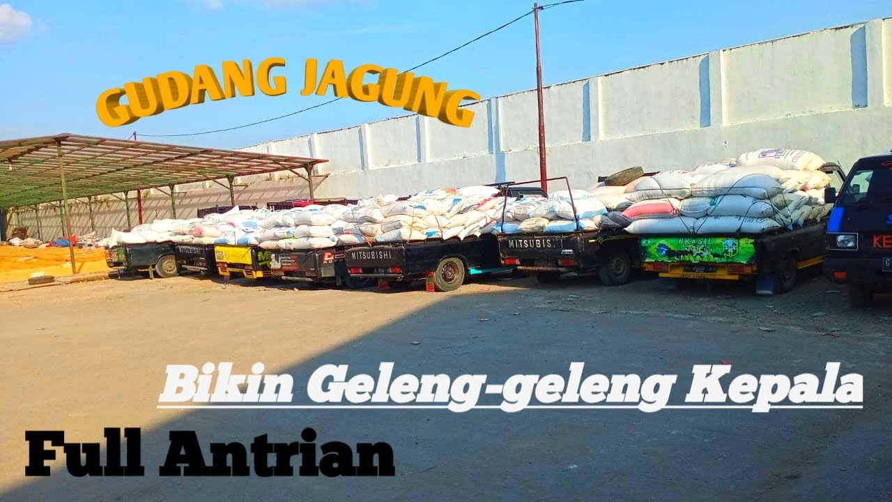 Gudang Jagung Terbesar Di Brebes
