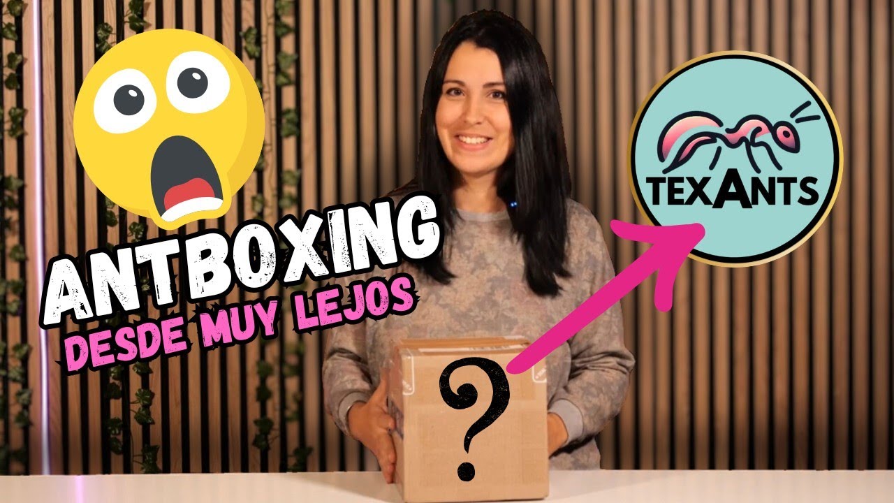 UNBOXING hormiguero de madera de TEXANTS para mis hormigas carpinteras ❤️‍🔥 Campononotus Habereri.