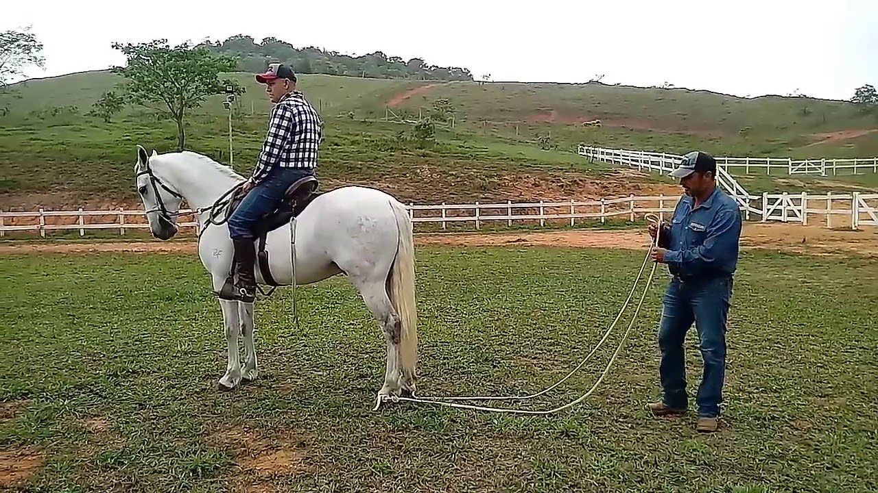 Aprenda a fazer um exercício para posterior de cavalo!