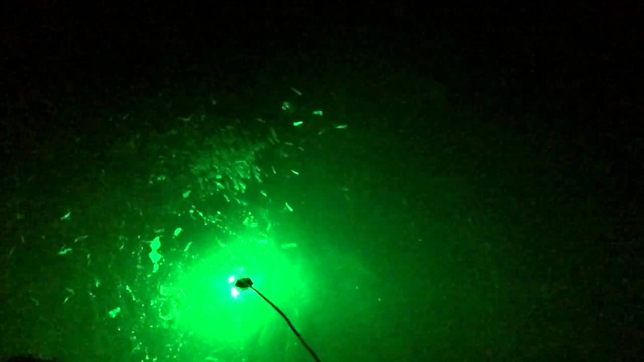 Green light causes fishing frenzy! South Padre Island! 27 S