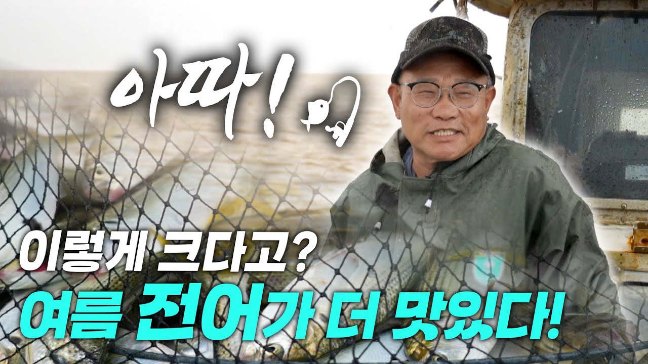 안 잡히면 어쩌나 걱정했는데 전어 양이 엄청나네~! 저녁에는 회, 아침에는 구이까지.. 이 맛에 다들 또 옵니다!