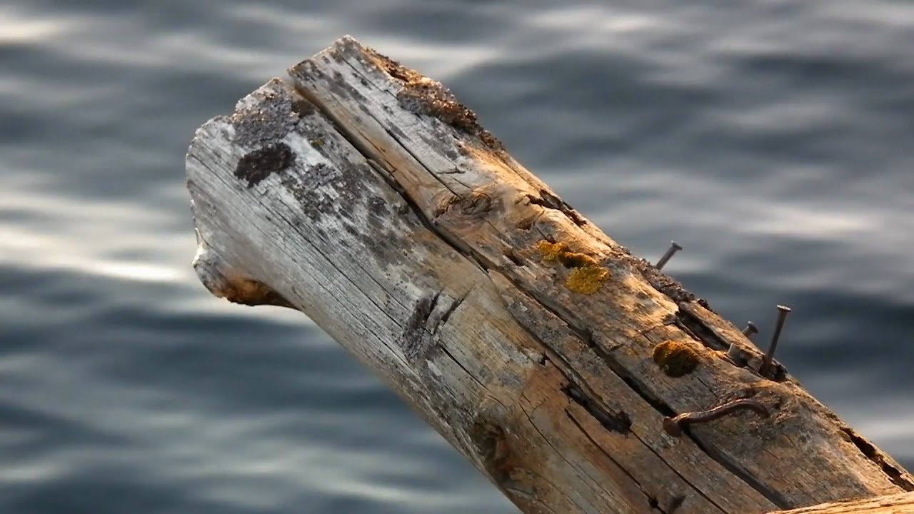 FUJIFILM FINEPIX HS10 Video test