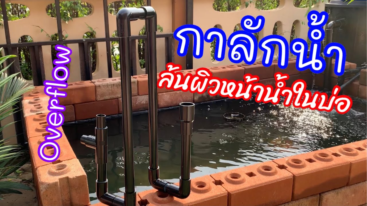 ล้นน้ำออกจากบ่อง่าย ๆ ด้วยกาลักน้ำจากท่อ PVC | Pets at home