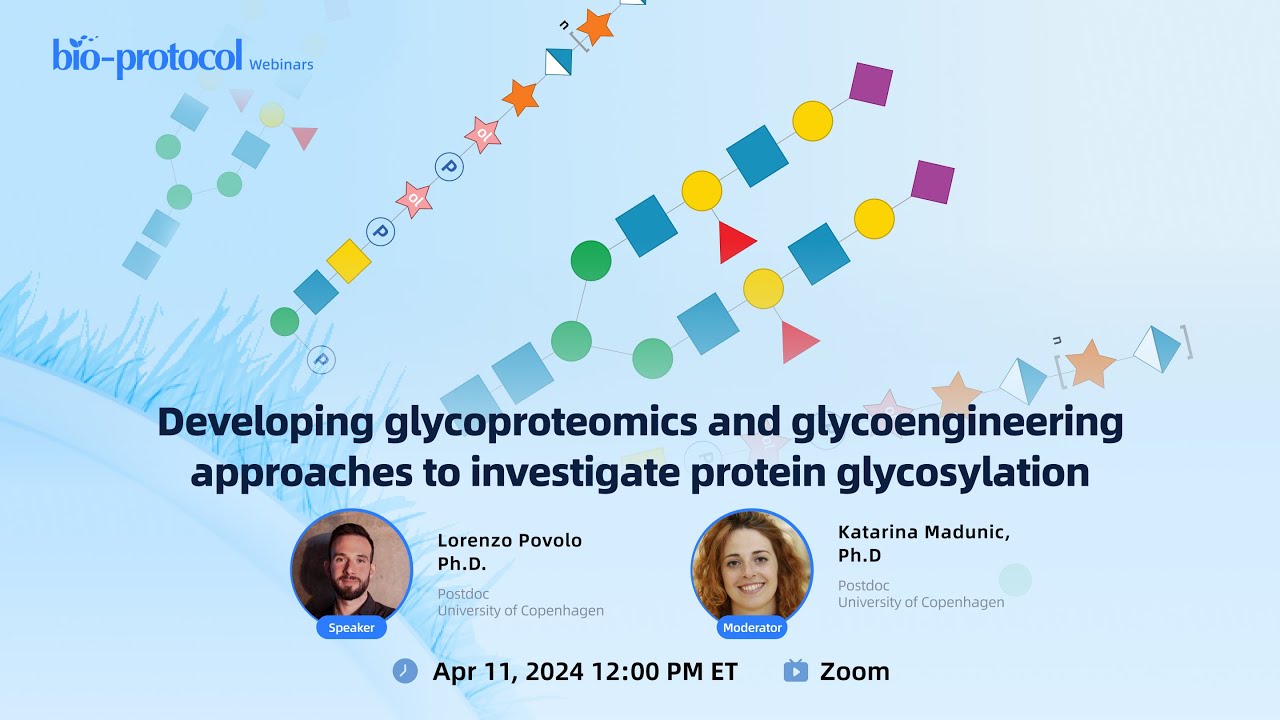 Developing glycoproteomics and glycoengineering approaches to investigate protein glycosylation