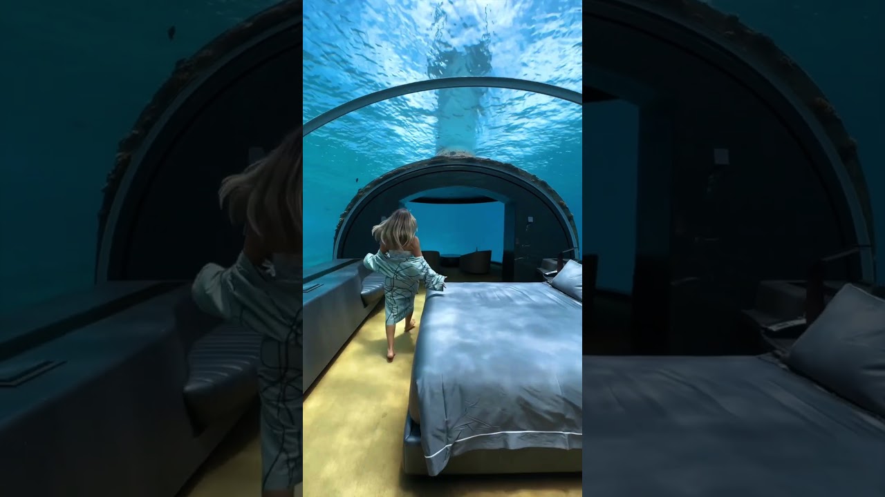 Discover a sanctuary below the surface