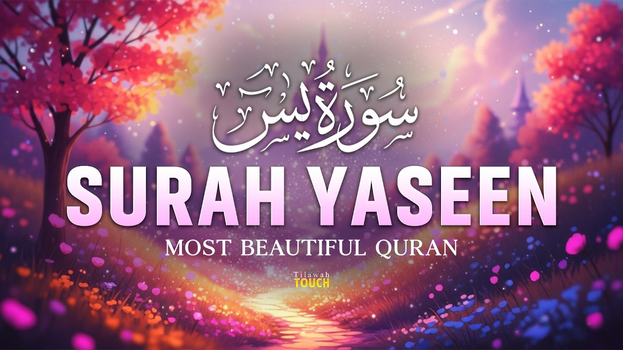 Surah Yaseen سورة يس | Calming Quran for Deep Sleep & Inner Peace - Alaa Aqel | Tilawah Touch