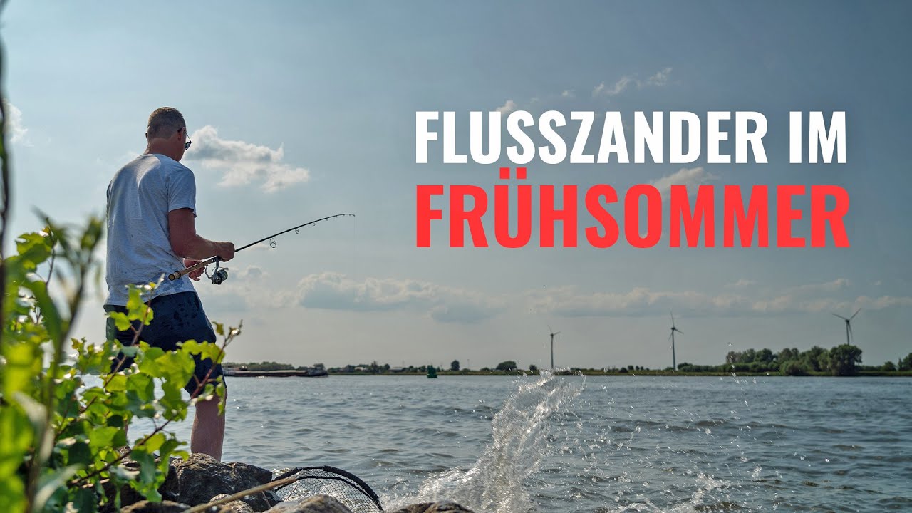 Flusszander im Frühsommer: 5 Tipps für mehr Tocks