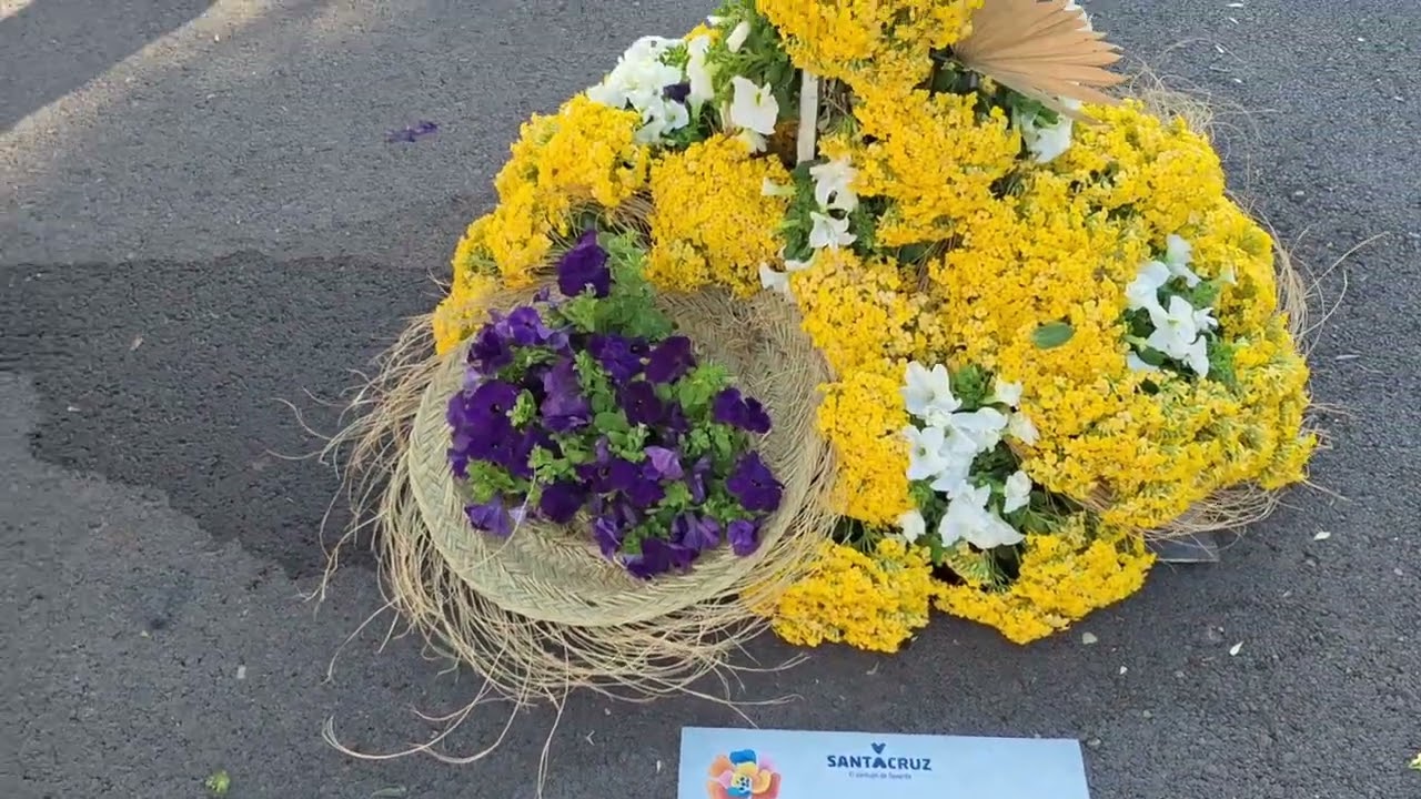 Cruces de flores  ( Fiestas de mayo de Santa Cruz de Tenerife 2025 )