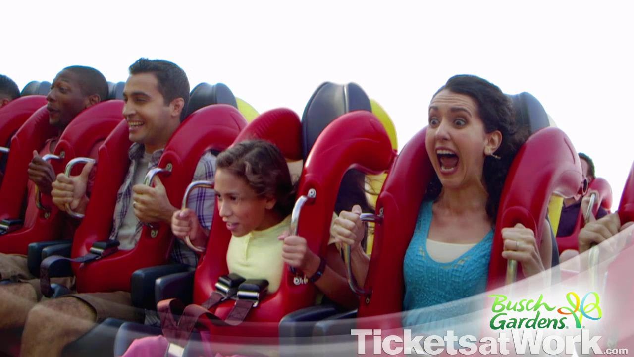 Busch Gardens | Tampa