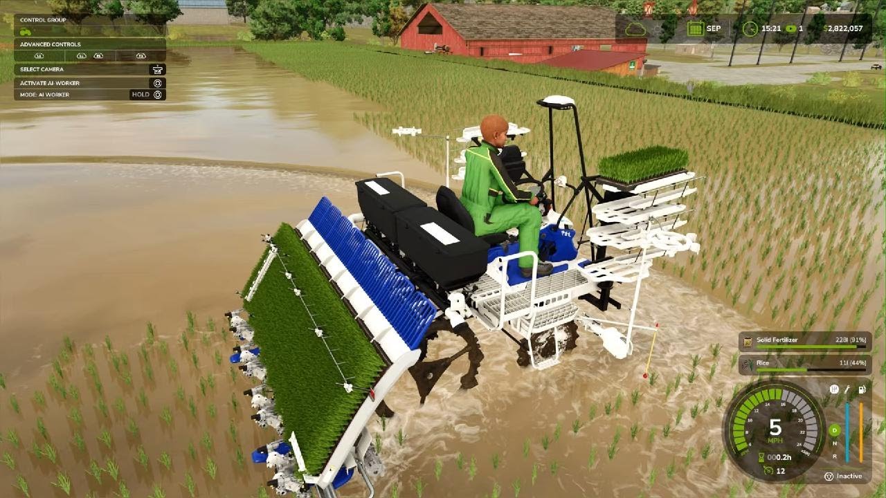 Plant rice and spinach