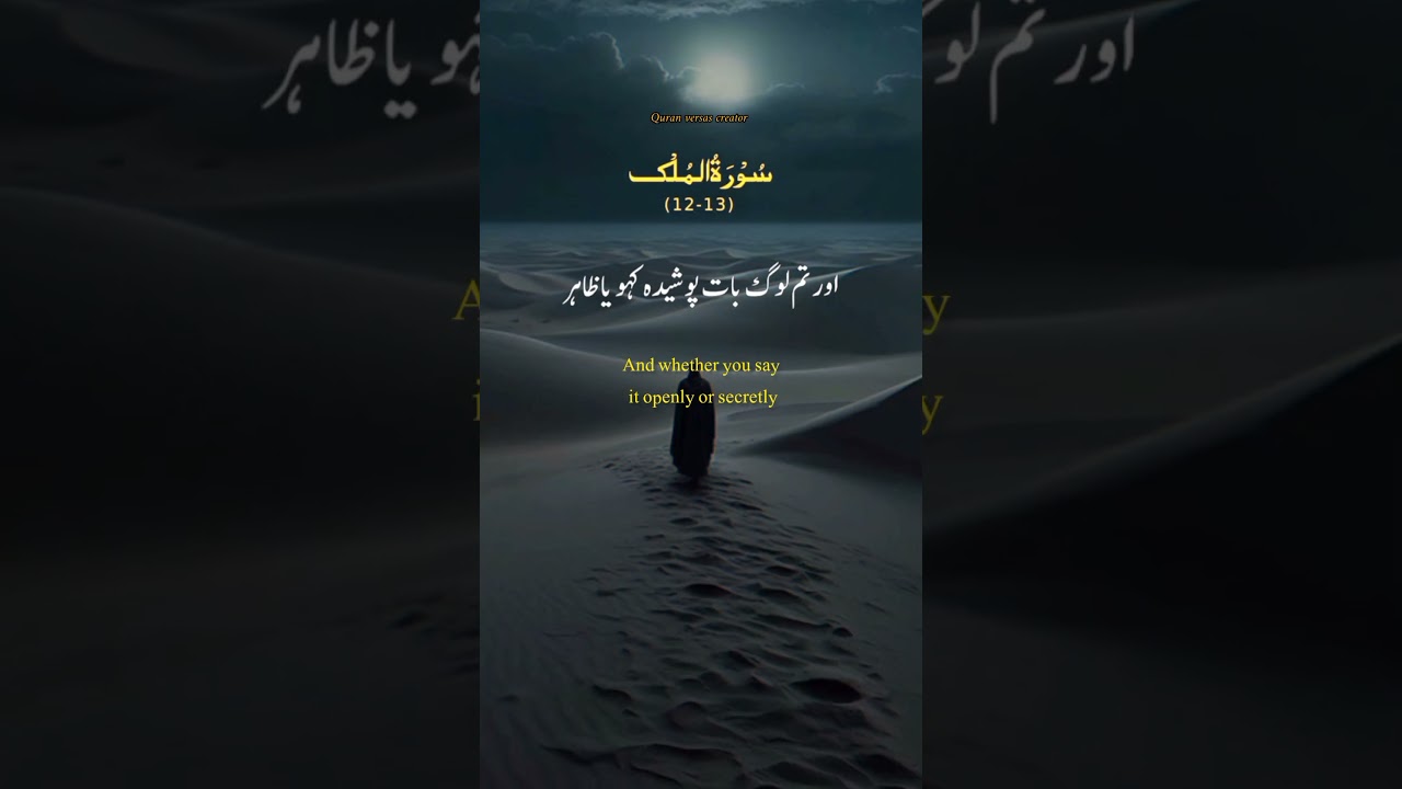 Quran translation WhatsAppstatus ||quran verses status #quran #ayat #youtubeshorts #ytshorts #trn