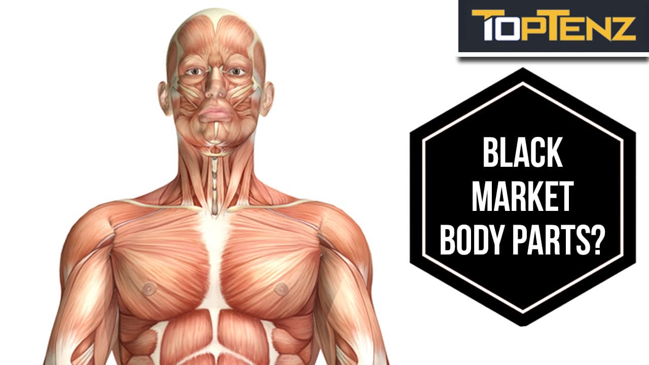10 Harrowing Facts About the Morgue