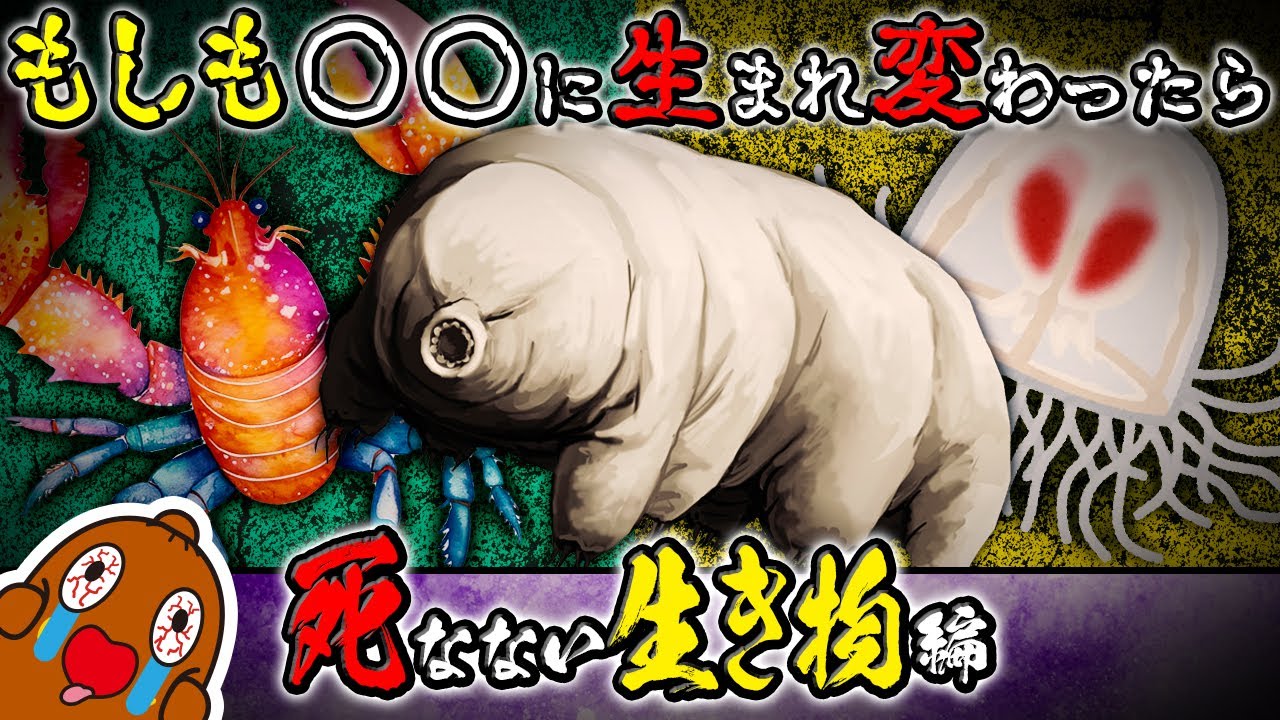 もしも○○に生まれ変わったら ～死なない生き物編～